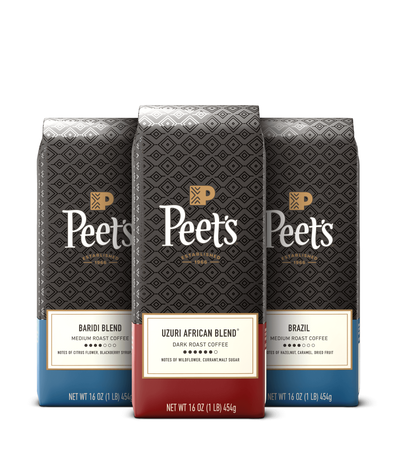 Cold Brew Bundle