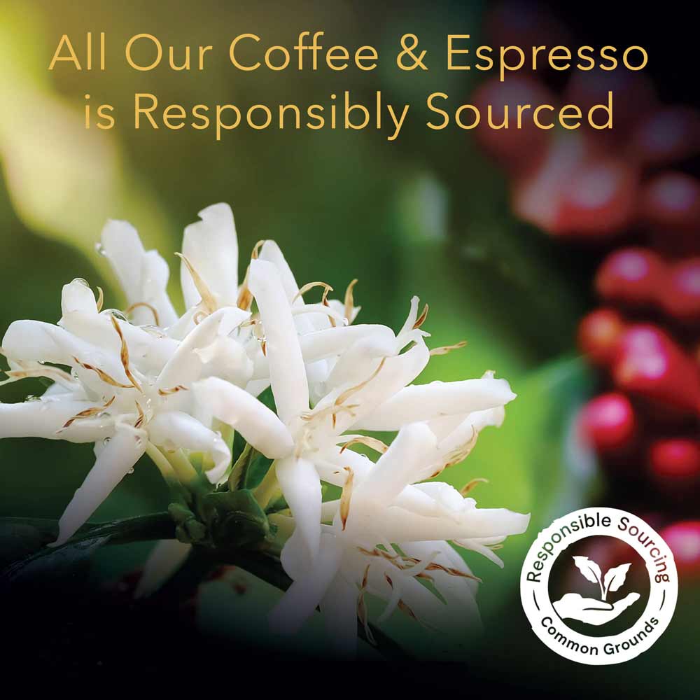 Midtown Roast Coffee Capsules